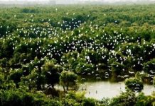 Giới thiệu về vườn quốc gia Tràm Chim Nơi cư trú và sinh sống của cộng đồng người Mường