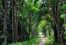 Giới thiệu về vườn quốc gia Cúc Phương Nơi cư trú và sinh sống của cộng đồng người Mường