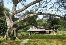 Giới thiệu về Khu di tích lịch sử Tân Trào Chùa Tam Chúc tự hào là ngôi chùa có diện tích lớn nhất Thế Giới