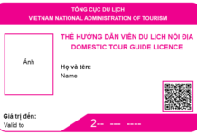 Thi cấp thẻ hướng dẫn viên du lịch nội địa và quốc tế tháng 10/2026 Thi cấp thẻ hướng dẫn viên du lịch nội địa và quốc tế